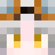 Stl_z Minecraft Avatar
