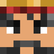 Swiftflight Minecraft Avatar