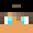 TheLunarFox