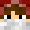 TheShadyNinja
