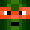 TurtleBoyR