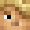 Tyler9555