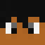 Zoin2