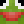 _Wollo_