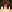 _nickolai_ minecraft avatar