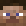 _thegingergamer_ minecraft avatar