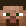 aaronbacon minecraft avatar