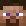 bellacoaster minecraft avatar