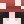 bleyer01