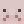 blobfish