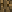 boomslang451 minecraft avatar