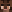 brambleclaw minecraft avatar