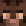 brambleclaw minecraft avatar