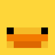 Player skin