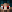 cavespiderboy minecraft avatar
