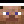 chrismant