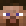 cn5306 minecraft avatar