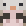 coal_1 minecraft avatar
