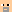 daylon minecraft avatar