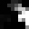 disbey