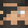 donwig minecraft avatar