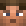 einkorn minecraft avatar