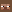 executor minecraft avatar