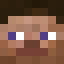 fel1pee