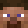 Server - firedragonihsan