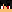 injuredferret58 minecraft avatar