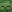 irontron6 minecraft avatar