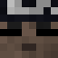 itflies