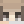 itz_jacchettaro