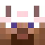 kitty764
