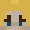 kooi_798