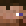 mehwoop minecraft avatar