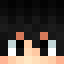 nils_exc