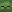 pcplayz minecraft avatar
