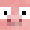 piglet__