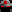 ringkids minecraft avatar