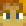 rink minecraft avatar