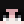 swat_10