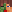 thehacheyclan minecraft avatar