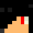 tyler21121060