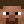 wallibearr