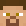 wd_gaster minecraft avatar