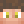 zRyan_