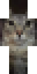 gfdz