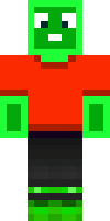 DuciMC's Minecraft skin