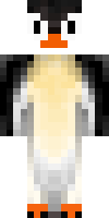 oyuncunun skini